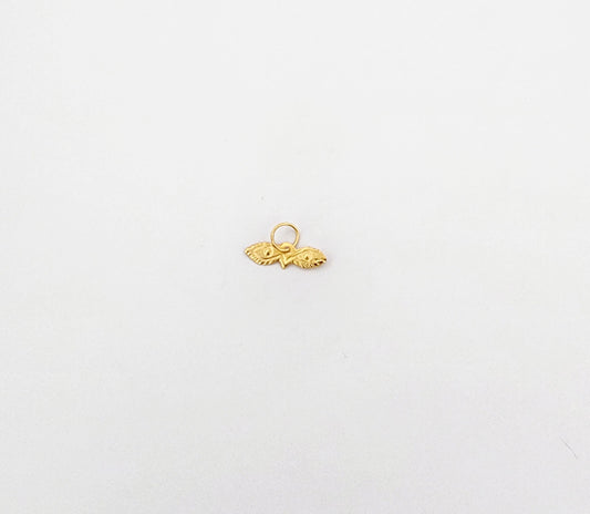 Ojitos de Santa Lucía