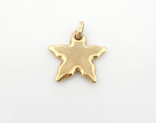 Dije de estrella de mar